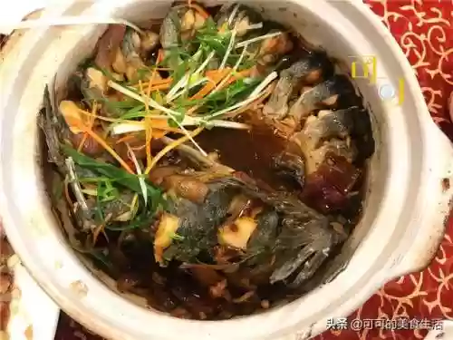 旱鱼搭配什么阵容插图8