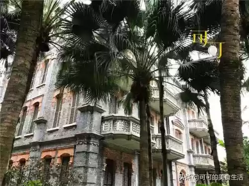 旱鱼搭配什么阵容插图12