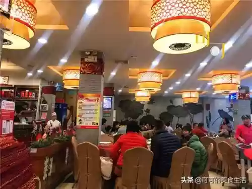 旱鱼搭配什么阵容插图1