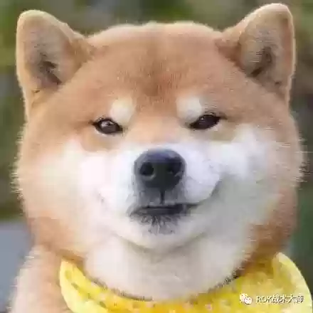 关羽搭配什么阵容万国觉醒插图2