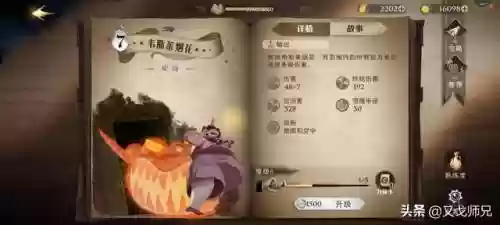 赫敏回响搭配什么阵容插图2