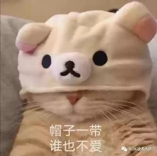 关羽搭配什么阵容万国觉醒插图60