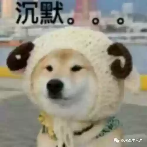 关羽搭配什么阵容万国觉醒插图47