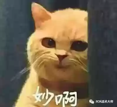 关羽搭配什么阵容万国觉醒插图22