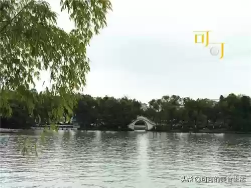 旱鱼搭配什么阵容插图13
