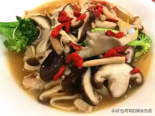 旱鱼搭配什么阵容插图7