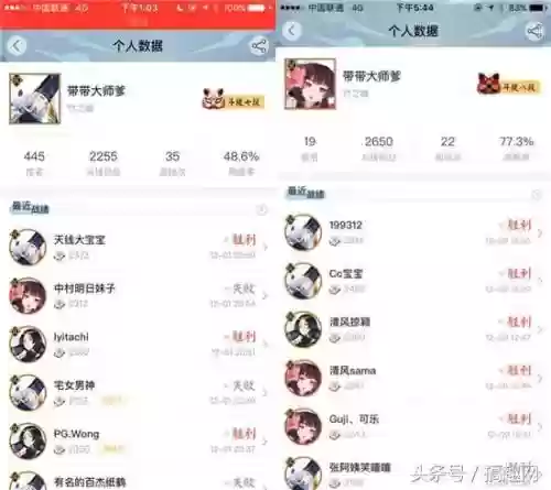 椒犬阵容搭配插图