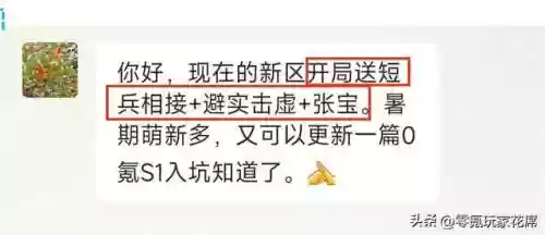张宝最强阵容搭配插图5