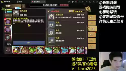 抹茶兔搭配阵容(百闻牌山兔阵容搭配)