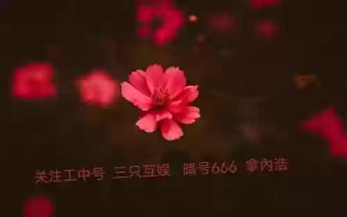核爆队怎么搭配阵容(原神核爆阵容如何搭配)插图1