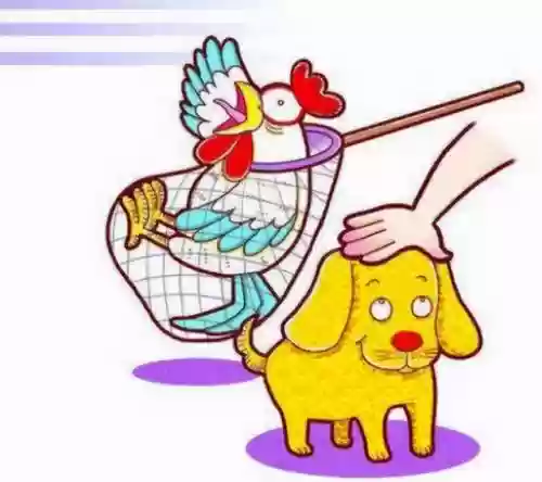 咸鱼打蛇阵容搭配(平民小小黑真蛇阵容)插图