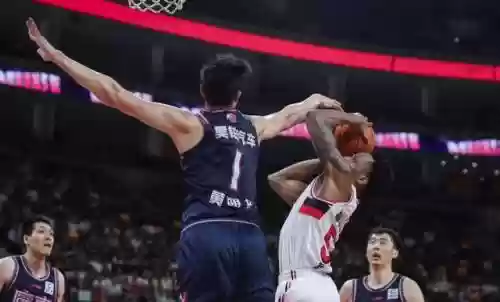 最强训练师阵容搭配(小小驯龙师最强阵容是什么)