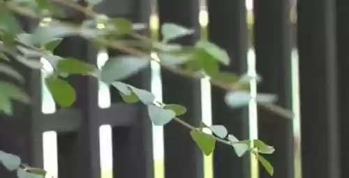 无尽纷争阵容搭配推荐(无尽守护最强阵容推荐)