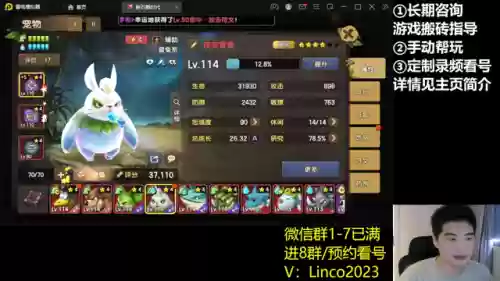 抹茶兔搭配阵容(百闻牌山兔阵容搭配)插图