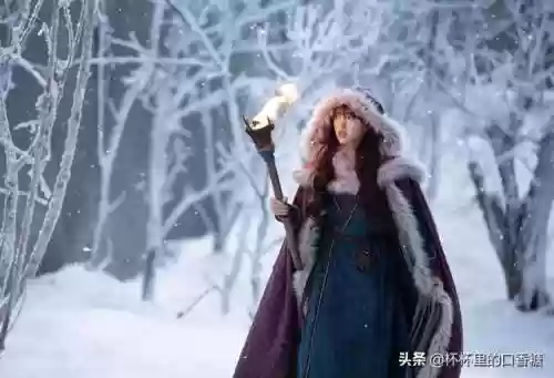 宫廷斗篷搭配阵容图鉴大全(宫廷计尚药最强阵容站位)插图21