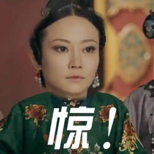 延禧攻略主角阵容搭配(延禧攻略所有人物介绍)插图26