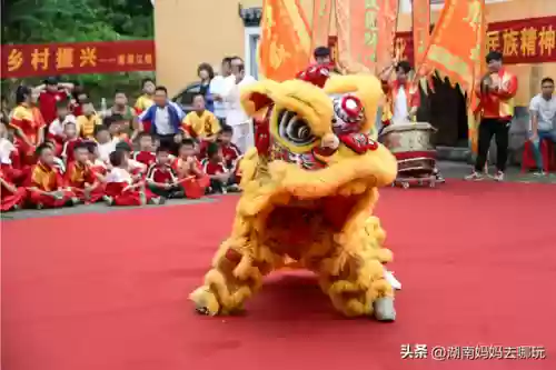 遛娃强大阵容搭配攻略(部落大乱斗平民最强阵容)插图13
