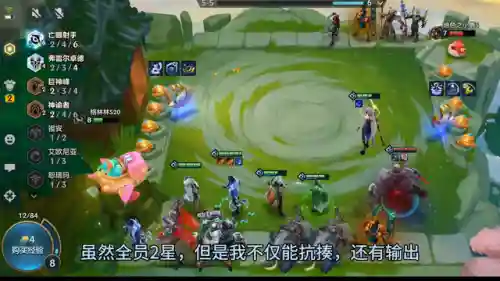 6盾使阵容最强搭配(闪烁之光最强阵容)