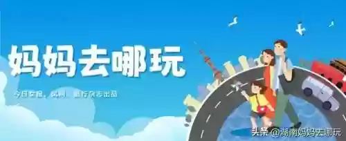 遛娃强大阵容搭配攻略(部落大乱斗平民最强阵容)插图