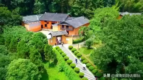 遛娃强大阵容搭配攻略(部落大乱斗平民最强阵容)插图14