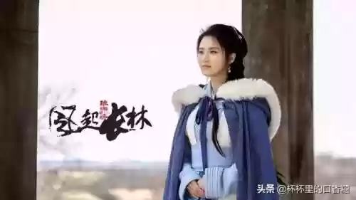 宫廷斗篷搭配阵容图鉴大全(宫廷计尚药最强阵容站位)插图12