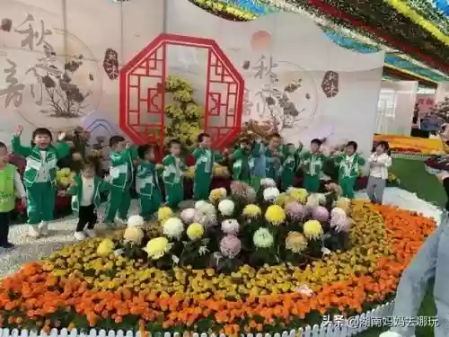 遛娃强大阵容搭配攻略(部落大乱斗平民最强阵容)插图2