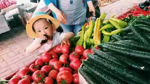 金贵饼干阵容该如何搭配(饼干人最强阵容)插图6