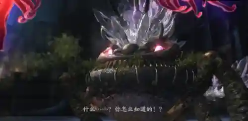 冒险巨蛙阵容搭配攻略(癫癫蛙的考验最强输出阵容)插图20