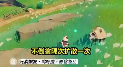 满命早柚阵容搭配(宝可梦t0阵容)插图1