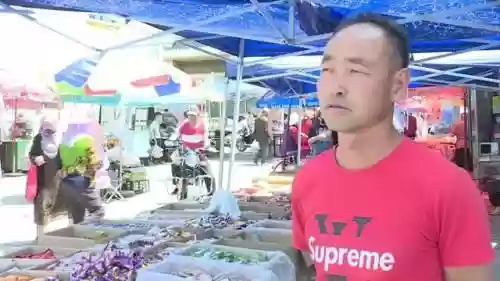 金贵饼干阵容该如何搭配(饼干人最强阵容)插图4