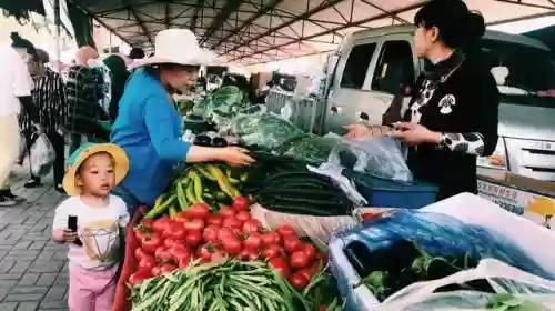 金贵饼干阵容该如何搭配(饼干人最强阵容)插图3