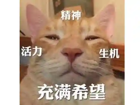 幻想三国异人刷怪流阵容(幻想三国武士文人和一人哪个厉害)插图8