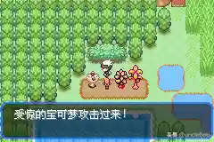 究极绿宝石3最佳阵容搭配(口袋妖怪究极绿宝石队伍搭配)插图30