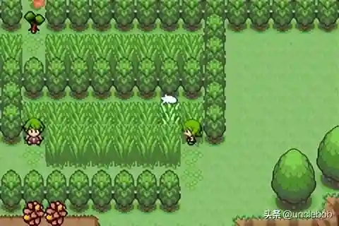 究极绿宝石3最佳阵容搭配(口袋妖怪究极绿宝石队伍搭配)插图4