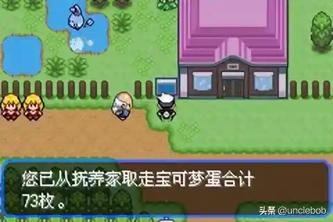 究极绿宝石3最佳阵容搭配(口袋妖怪究极绿宝石队伍搭配)插图28