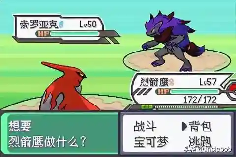 究极绿宝石3最佳阵容搭配(口袋妖怪究极绿宝石队伍搭配)插图31