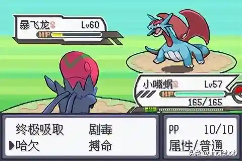 究极绿宝石3最佳阵容搭配(口袋妖怪究极绿宝石队伍搭配)插图15
