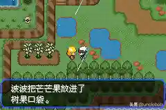 究极绿宝石3最佳阵容搭配(口袋妖怪究极绿宝石队伍搭配)插图2