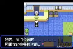 究极绿宝石3最佳阵容搭配(口袋妖怪究极绿宝石队伍搭配)插图22