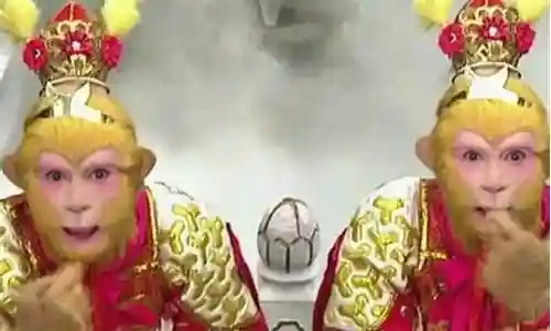 真假美猴王阵容搭配
