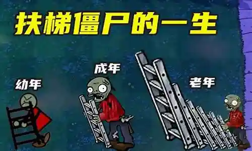 僵尸扶梯阵容搭配