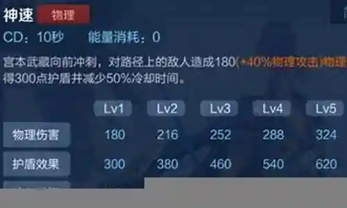 适合宫本的阵容搭配推荐