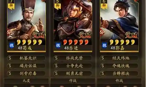 魏骑乐进阵容搭配