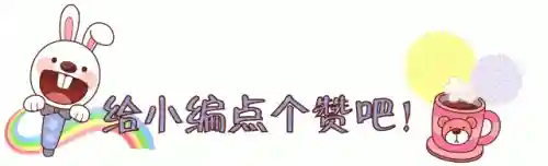 大巴首发阵容(2024豪华双层大巴模拟下载)