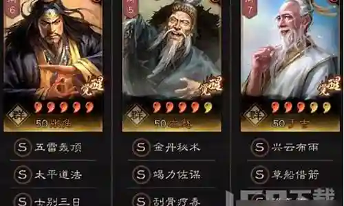 战法坎坷搭配什么阵容最强