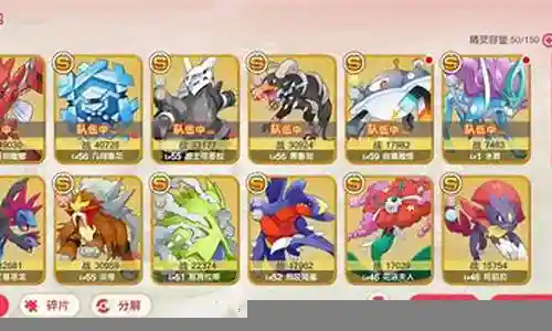 口袋觉醒精英阵容搭配