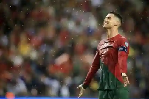本菲卡2016阵容(2017年fifa最佳阵容)插图
