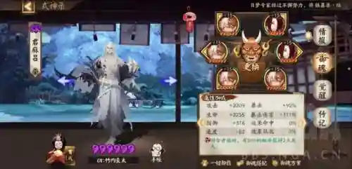 无脑斗鸡阵容(最佳阵容平民攻略)插图7