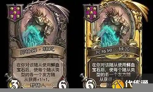 野猪之神阵容搭配推荐图