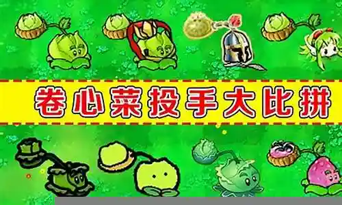 卷心菜投手阵容搭配